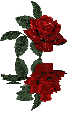 waterrose_gif.gif